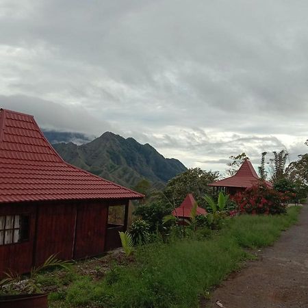 Home Stay Wolokoro Ecotourism Bajawa Ngoại thất bức ảnh