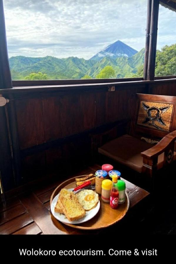 Home Stay Wolokoro Ecotourism Bajawa Ngoại thất bức ảnh