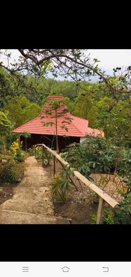 Home Stay Wolokoro Ecotourism Bajawa Ngoại thất bức ảnh