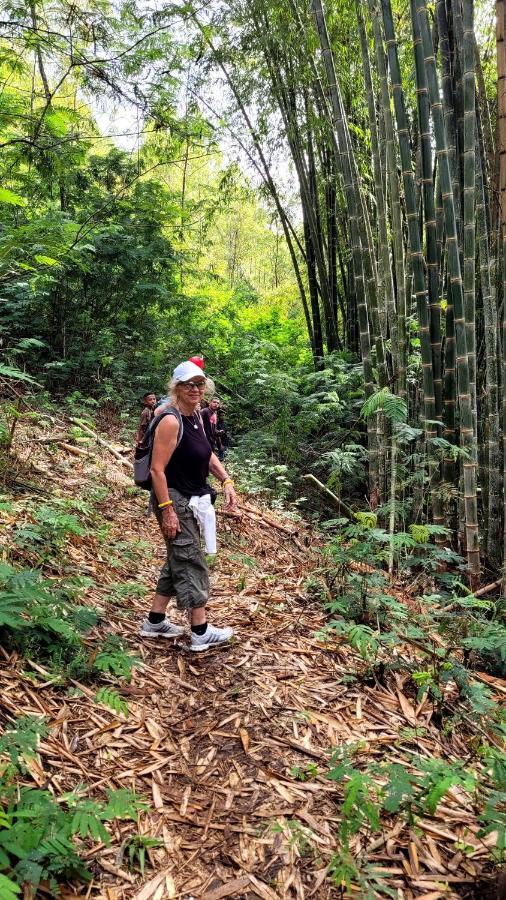 Home Stay Wolokoro Ecotourism Bajawa Ngoại thất bức ảnh