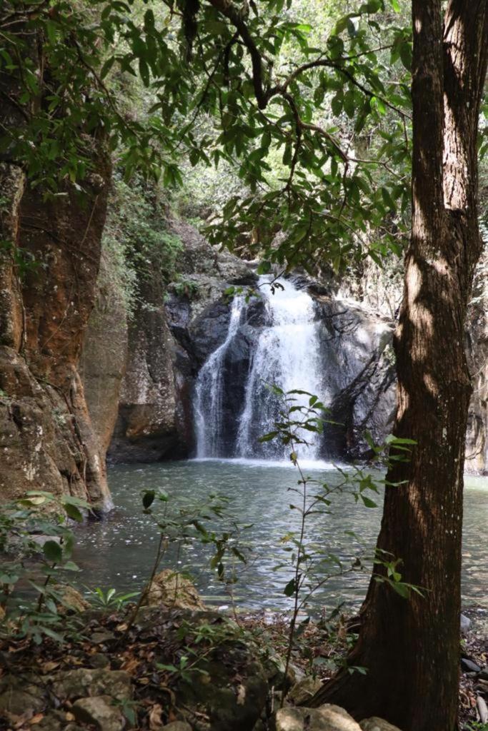 Home Stay Wolokoro Ecotourism Bajawa Ngoại thất bức ảnh