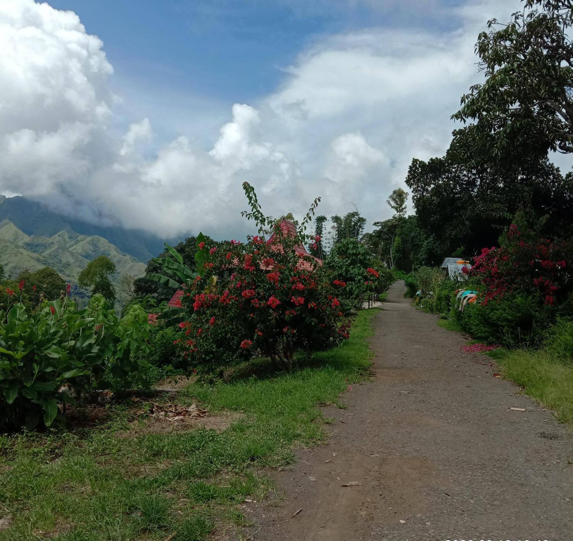 Home Stay Wolokoro Ecotourism Bajawa Phòng bức ảnh