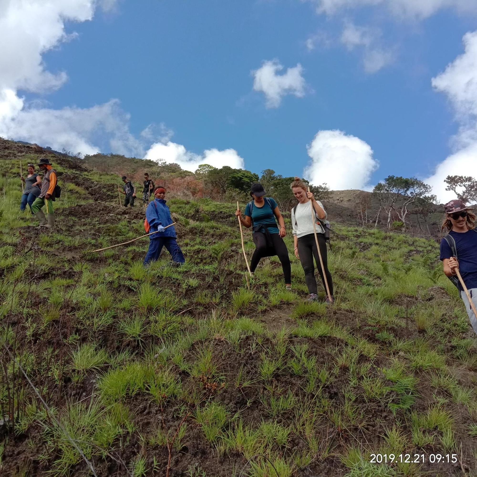Home Stay Wolokoro Ecotourism Bajawa Phòng bức ảnh
